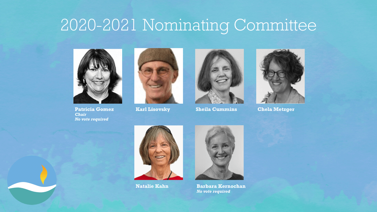 2020-2021 Nominating Committee