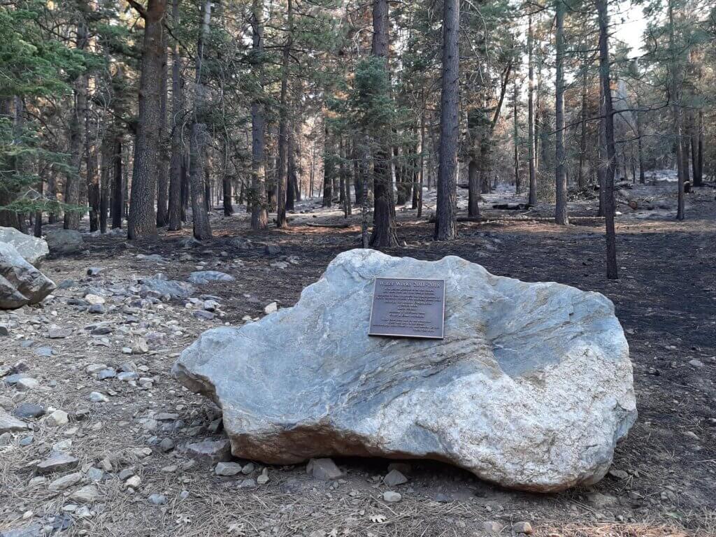 Rock with plaque
