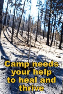 Camp needs your help to heal and thrive