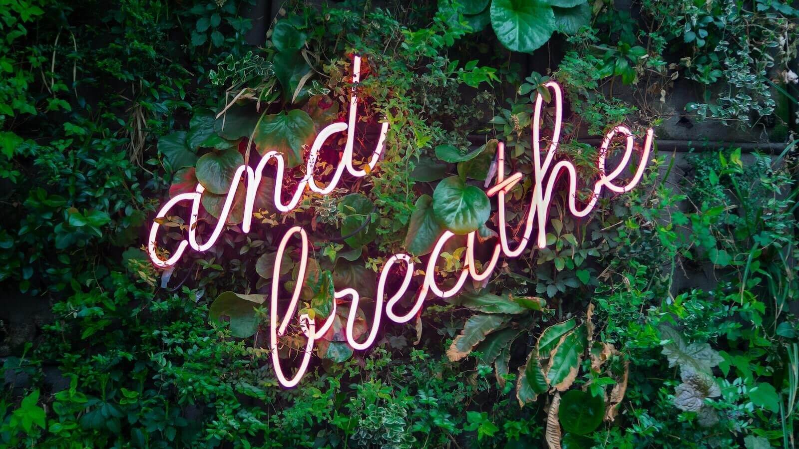 "and breathe" neon sign on green foliage