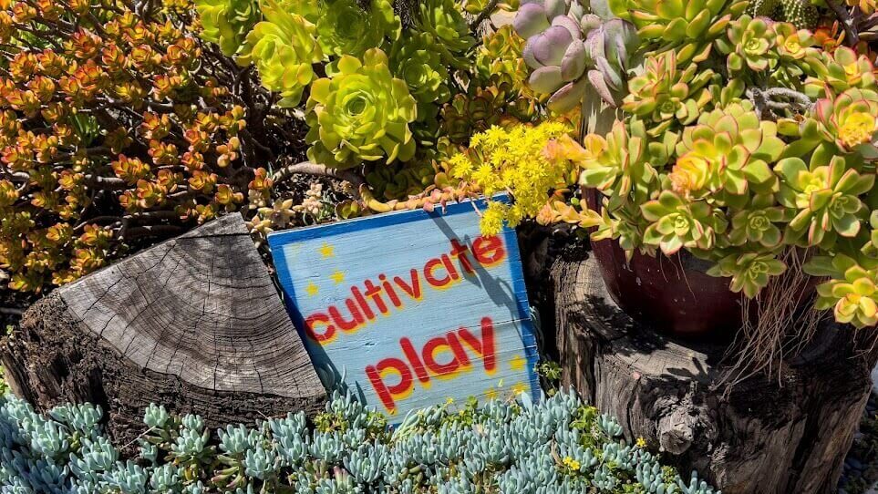 cultivate play (sign amid plants)