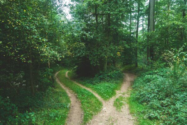 How We Journey, When, and Why Image