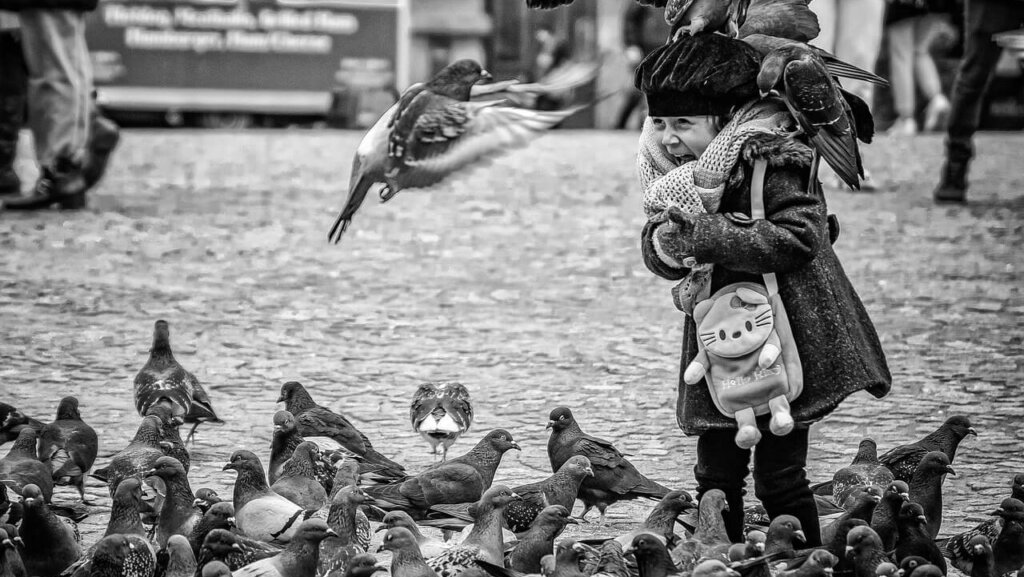 Flock of pigeons with little girl in Amsterdam square