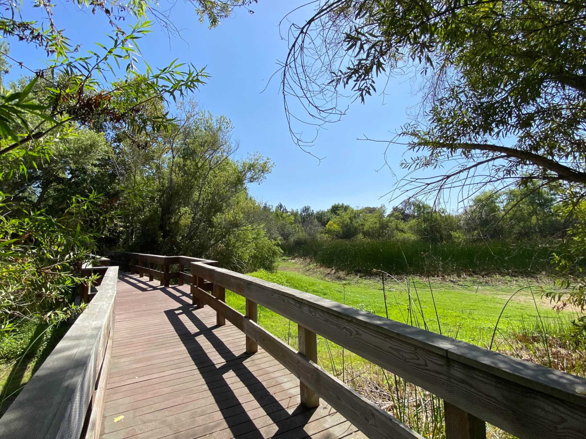 Bixby_Marshland_boardwalk_in_dry_season