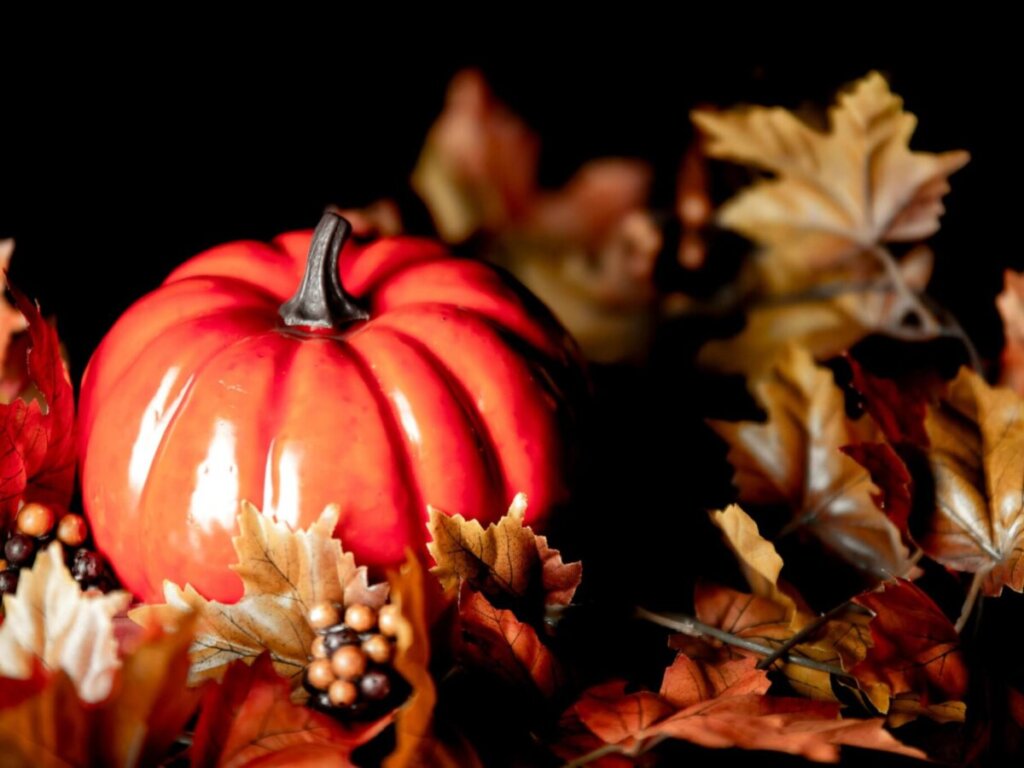 From Our Minister: Nurturing Gratitude