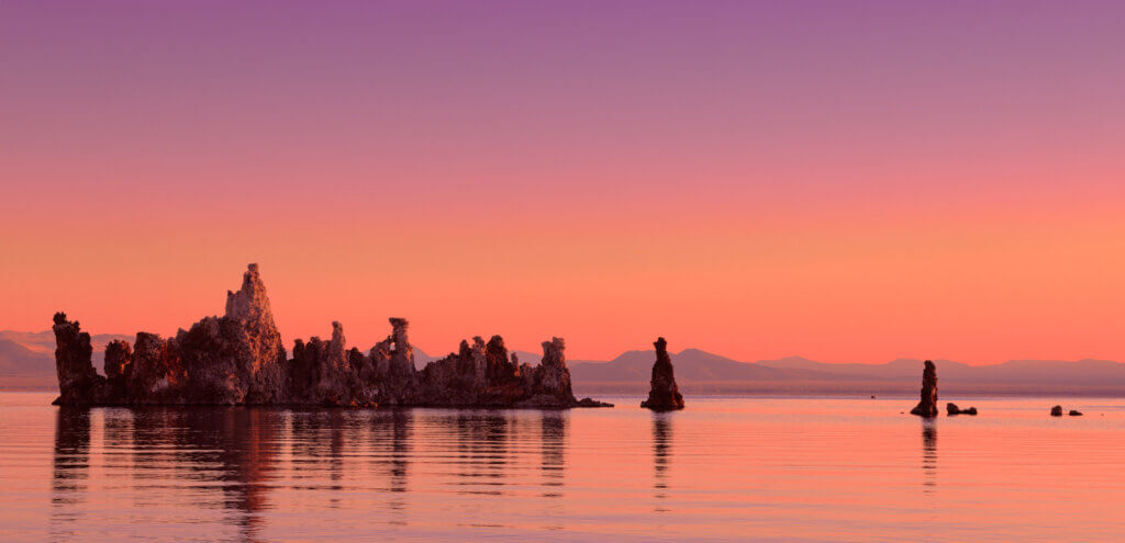 January & February Art Wall: The Professional Photographers of Los Angeles County