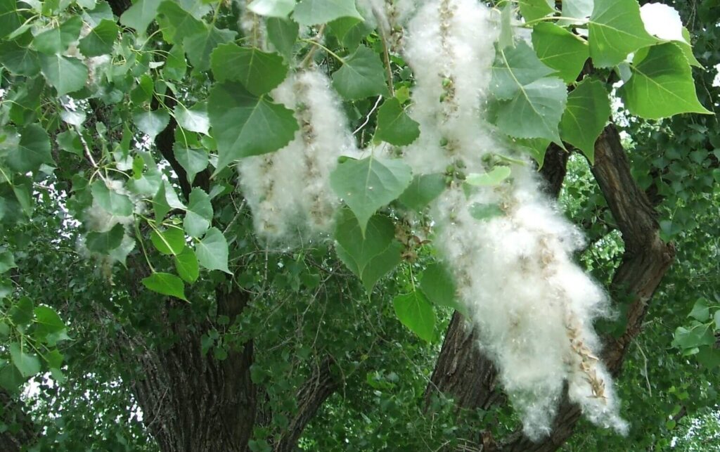 From Our Minister: Embodying Resilience 