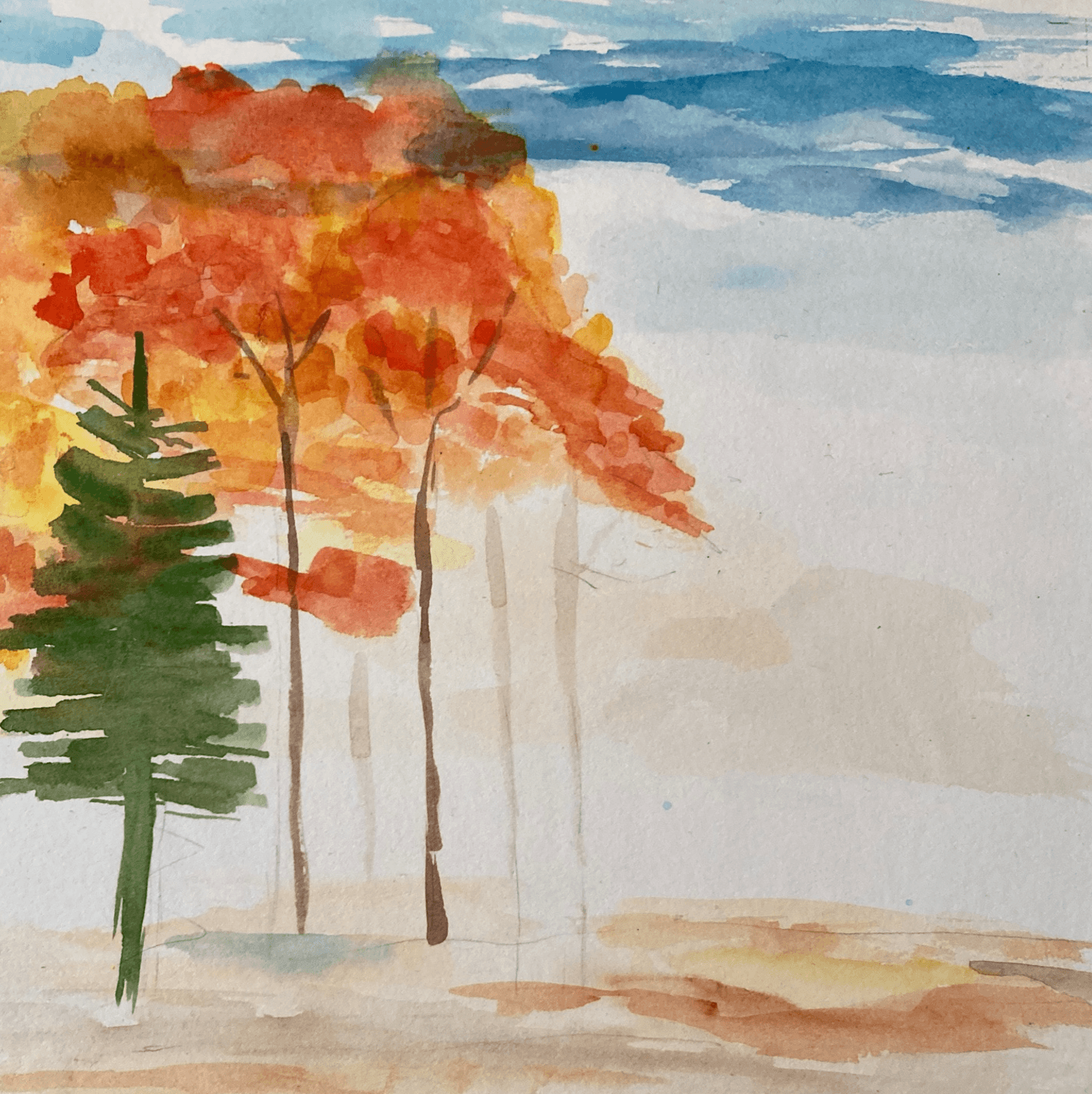 Fall Trees